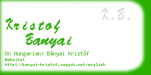kristof banyai business card