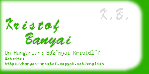 kristof banyai business card